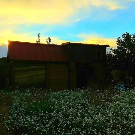 An Original Tiny House Wifi, Ac, Bikes, Ho Compatible Apartman *