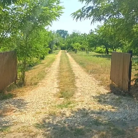Apartman An Original Tiny House Wifi, Ac, Bikes, Ho Compatible Pátka