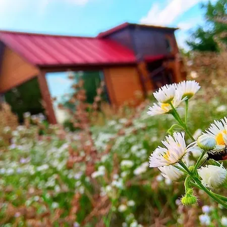 An Original Tiny House Wifi, Ac, Bikes, Ho Compatible *