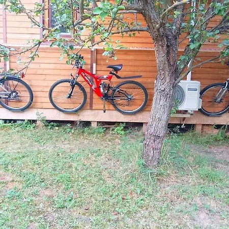 An Original Tiny House Wifi, Ac, Bikes, Ho Compatible
