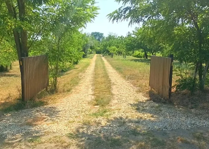 Apartamento An Original Tiny House Wifi, Ac, Bikes, Ho Compatible Patka