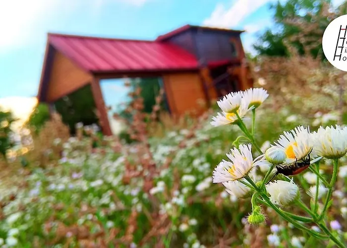An Original Tiny House Wifi, Ac, Bikes, Ho Compatible *