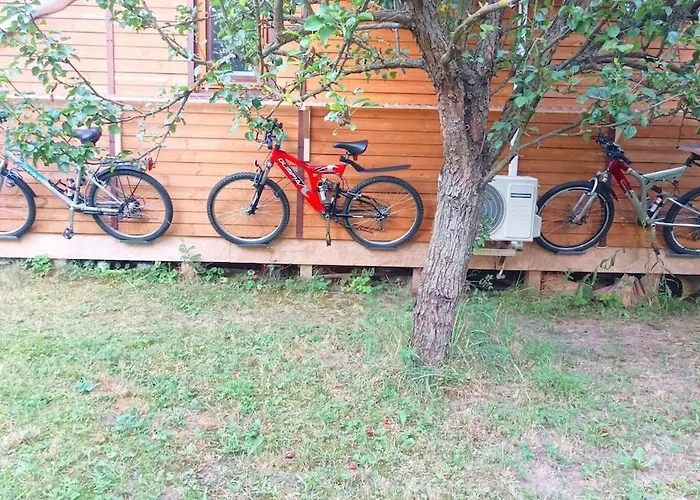 An Original Tiny House Wifi, Ac, Bikes, Ho Compatible